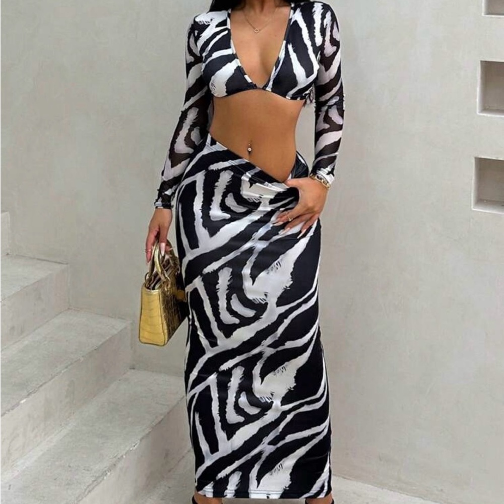 Black and White Zebra Print Skirt Set - Picture 2 of 2